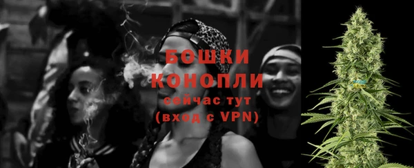 спайс Богданович