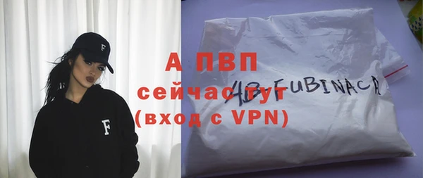 дмт Белокуриха