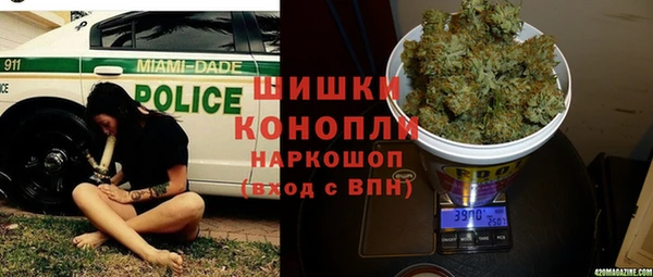 ECSTASY Богородицк