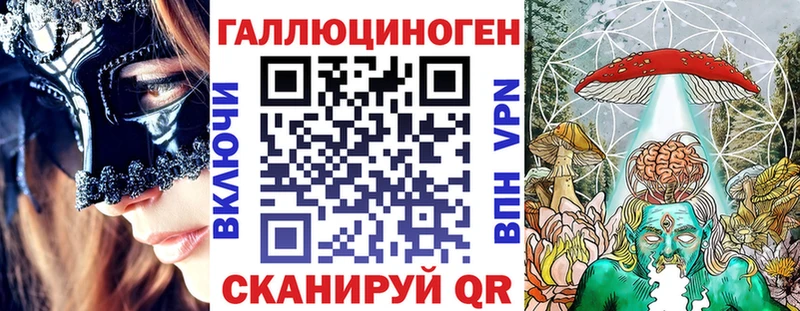 закладка  Невель  Галлюциногенные грибы Psilocybine cubensis 