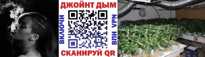 маркетплейс наркотические препараты  mega зеркало  Невель  МАРИХУАНА ГИДРОПОН 